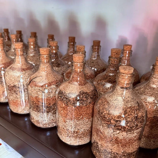 Botellas Deco